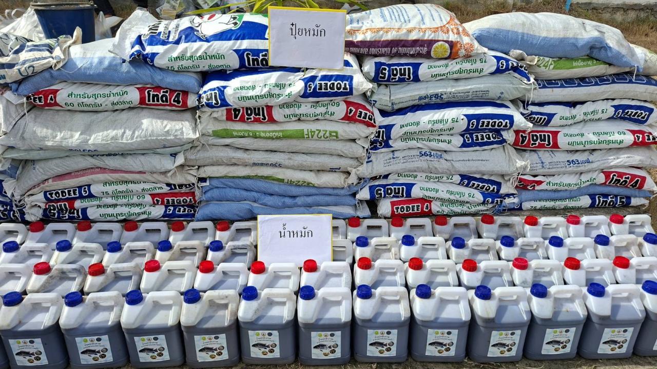 ภาพประกอบที่ 6