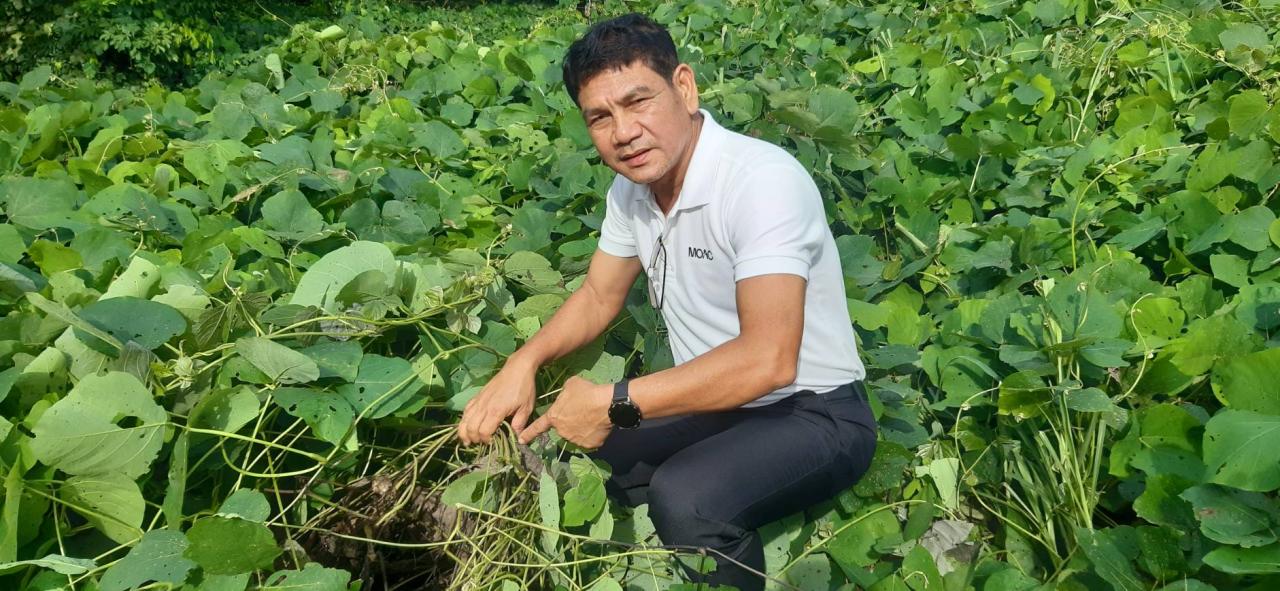 ภาพประกอบที่ 0