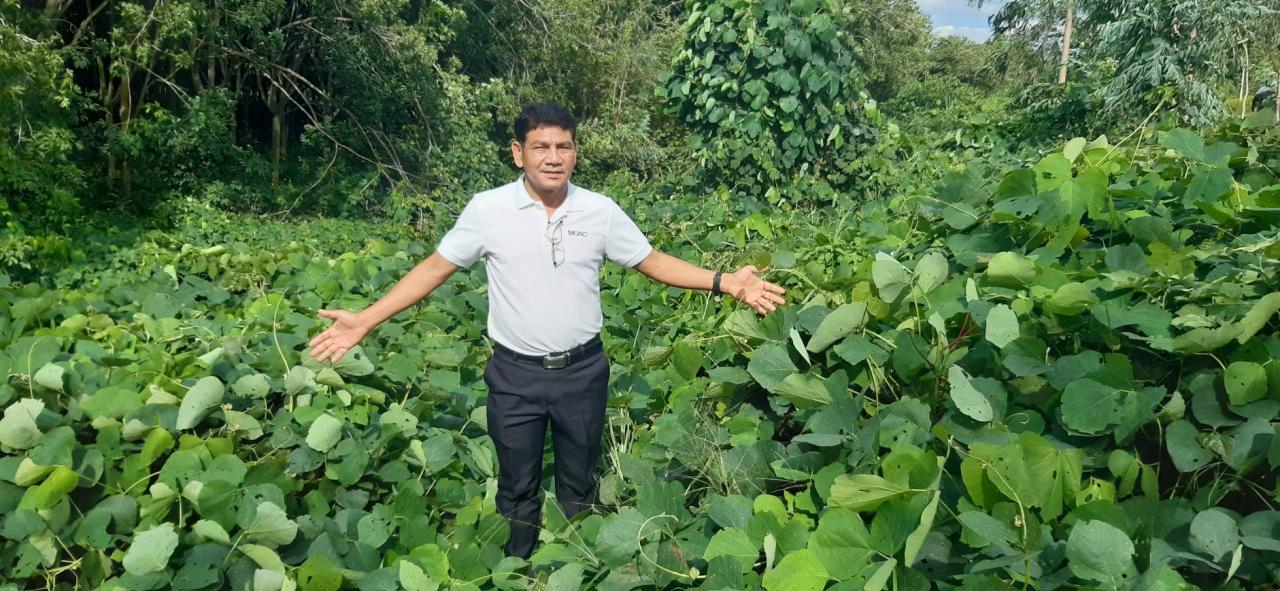 ภาพประกอบที่ 1