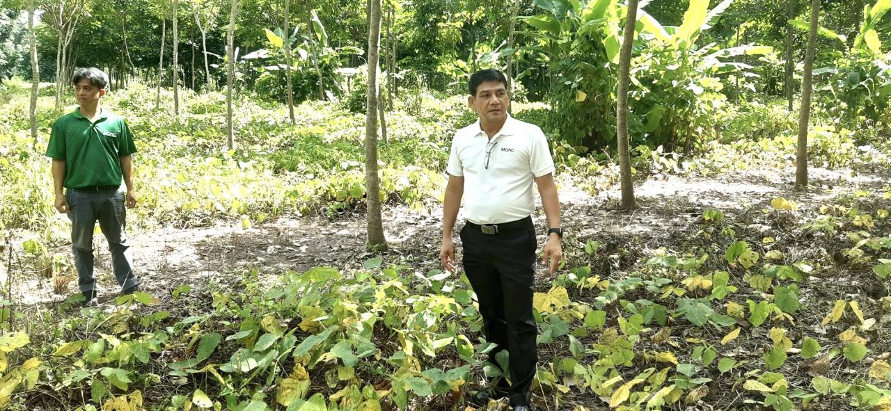 ภาพประกอบที่ 6