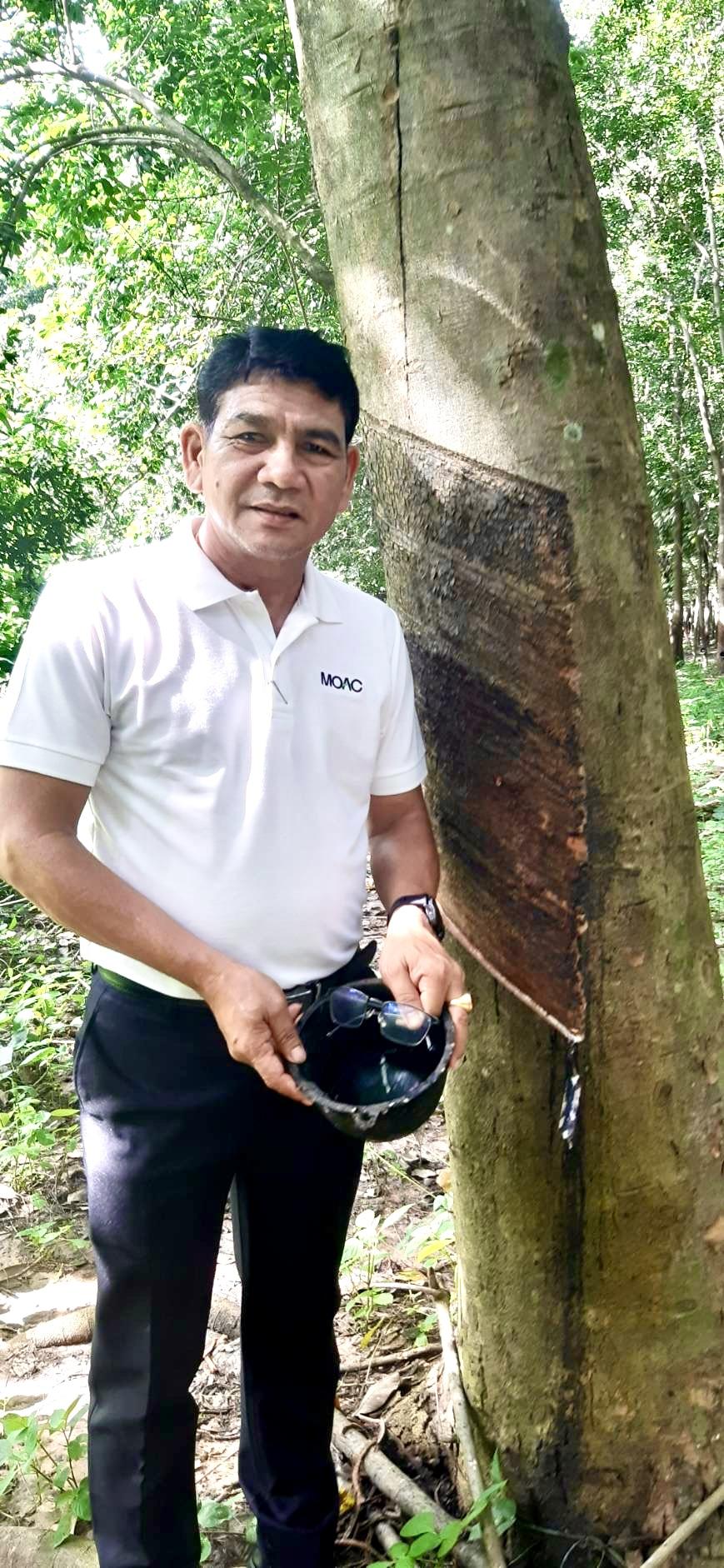 ภาพประกอบที่ 7