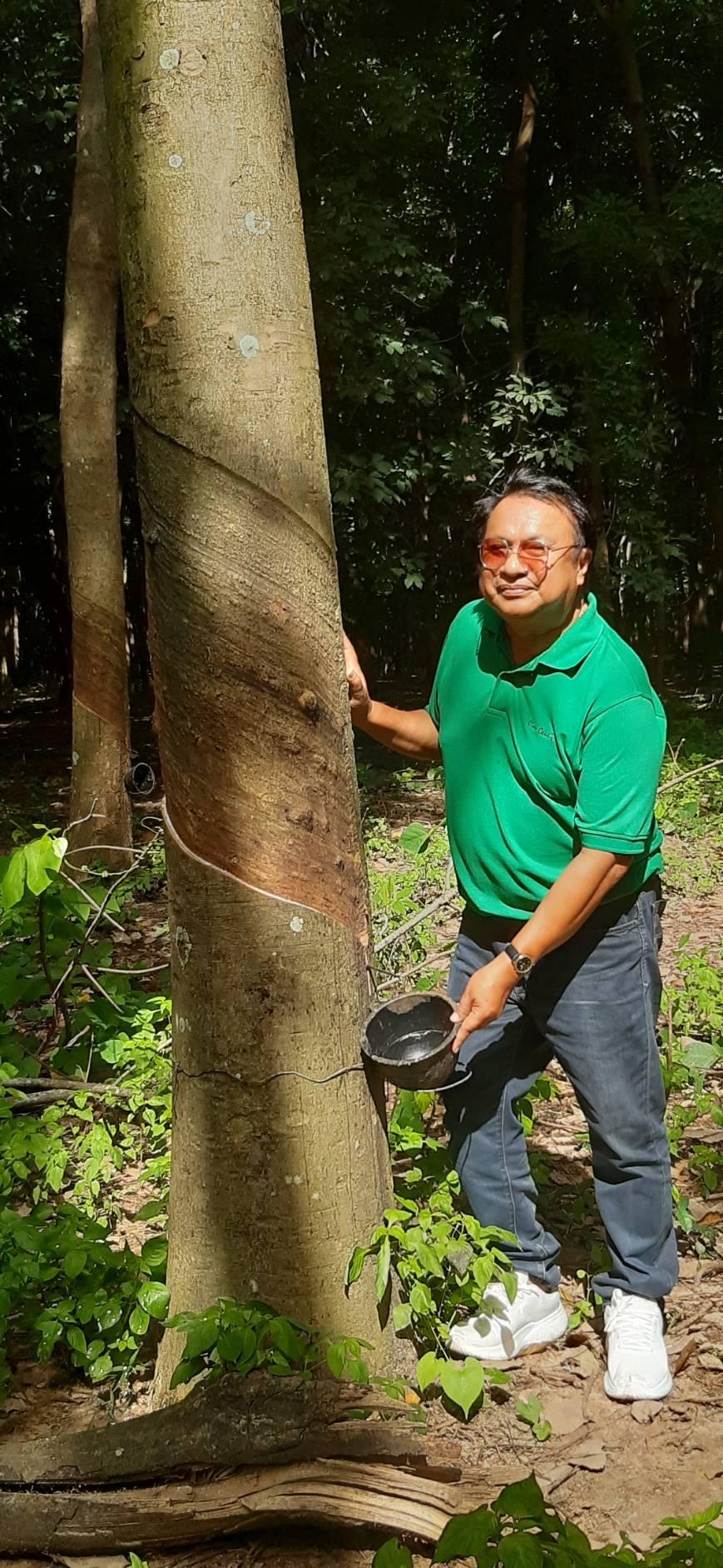 ภาพประกอบที่ 8