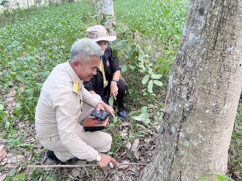 ภาพประกอบที่ 6