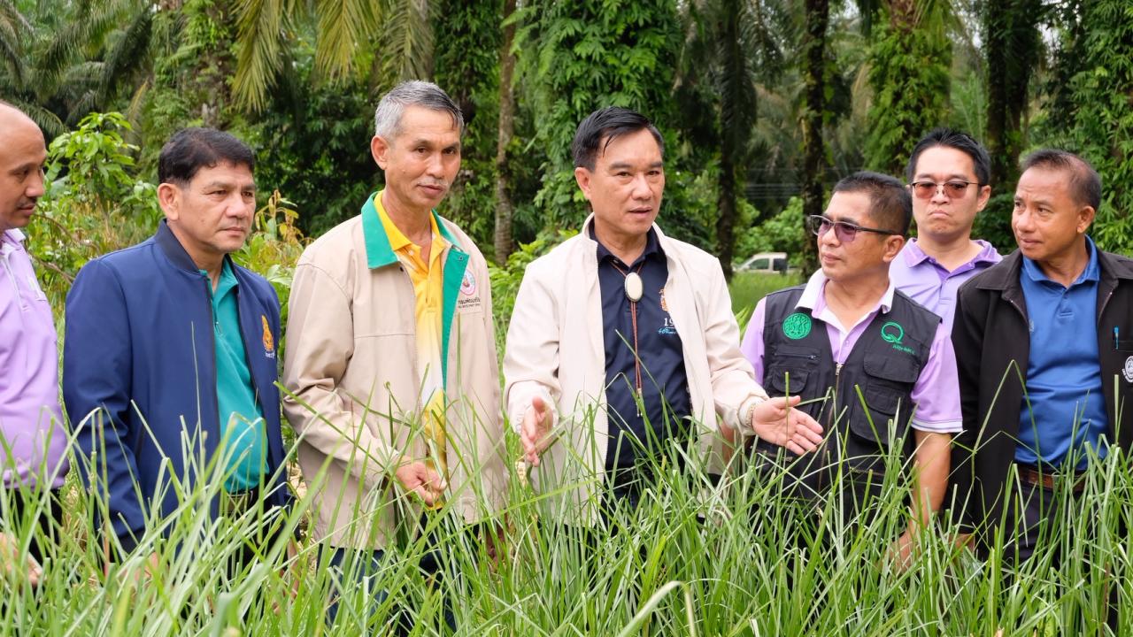 ภาพประกอบที่ 8