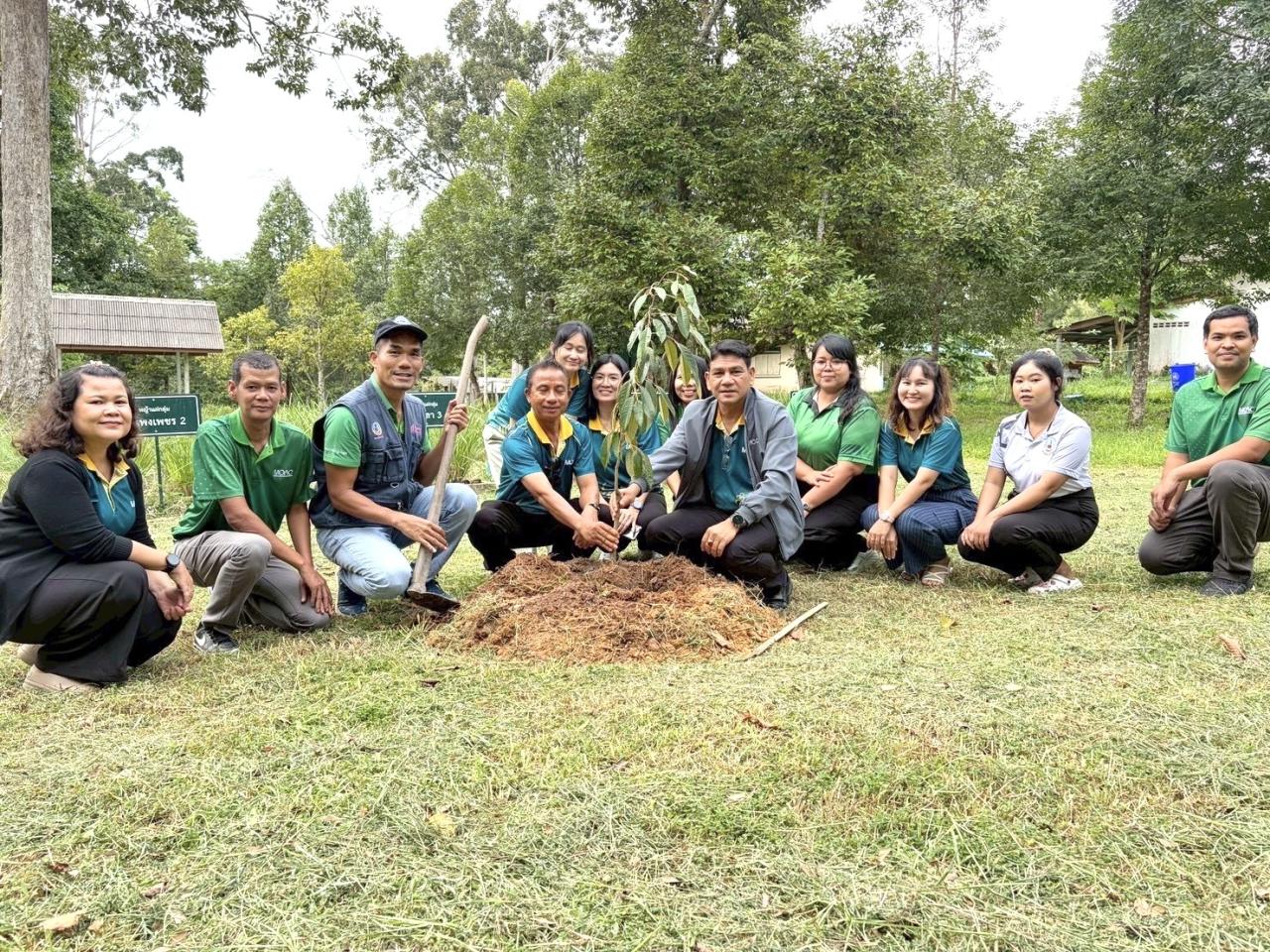 ภาพประกอบที่ 1