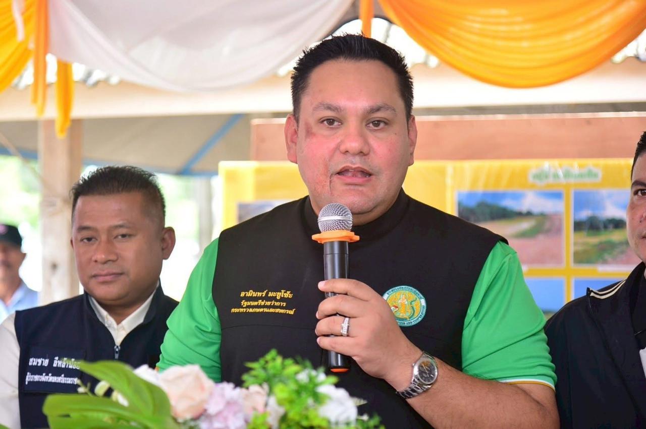 ภาพประกอบที่ 5