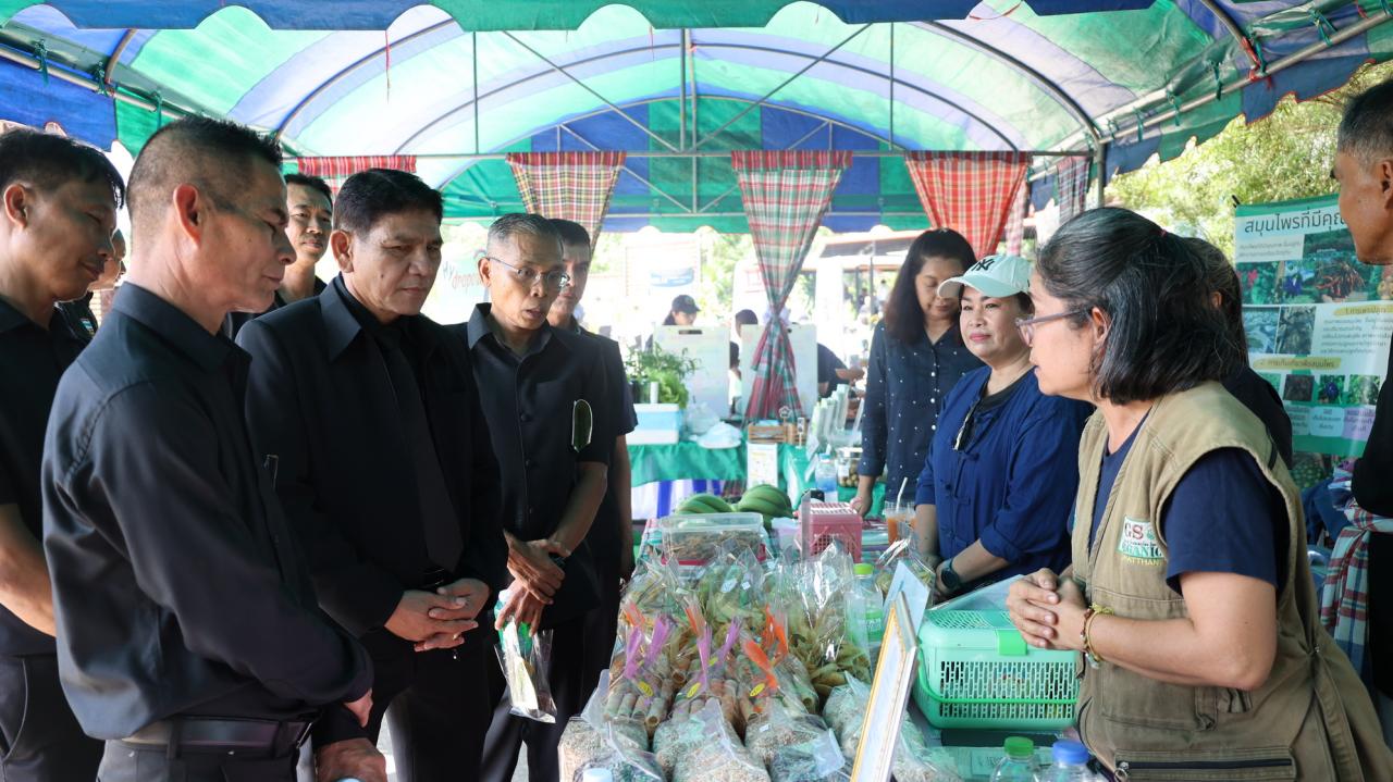 ภาพประกอบที่ 11