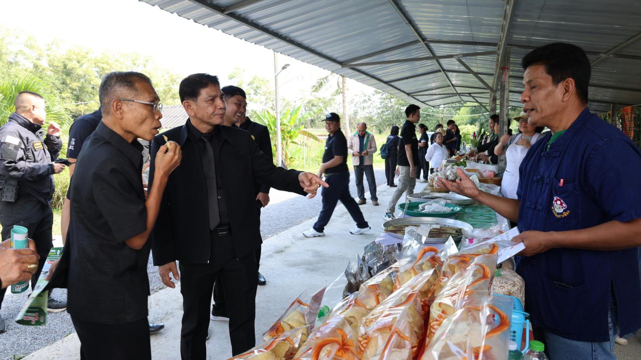 ภาพประกอบที่ 13