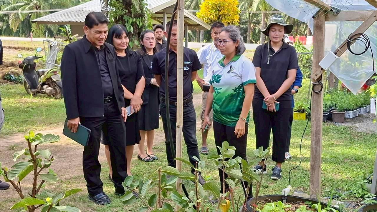 ภาพประกอบที่ 5