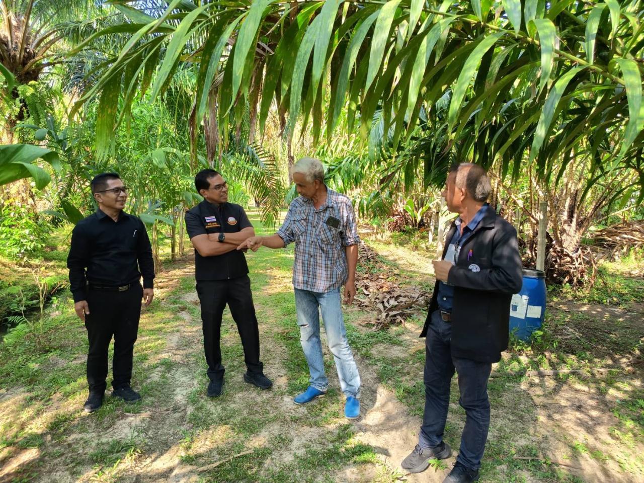 ภาพประกอบที่ 3