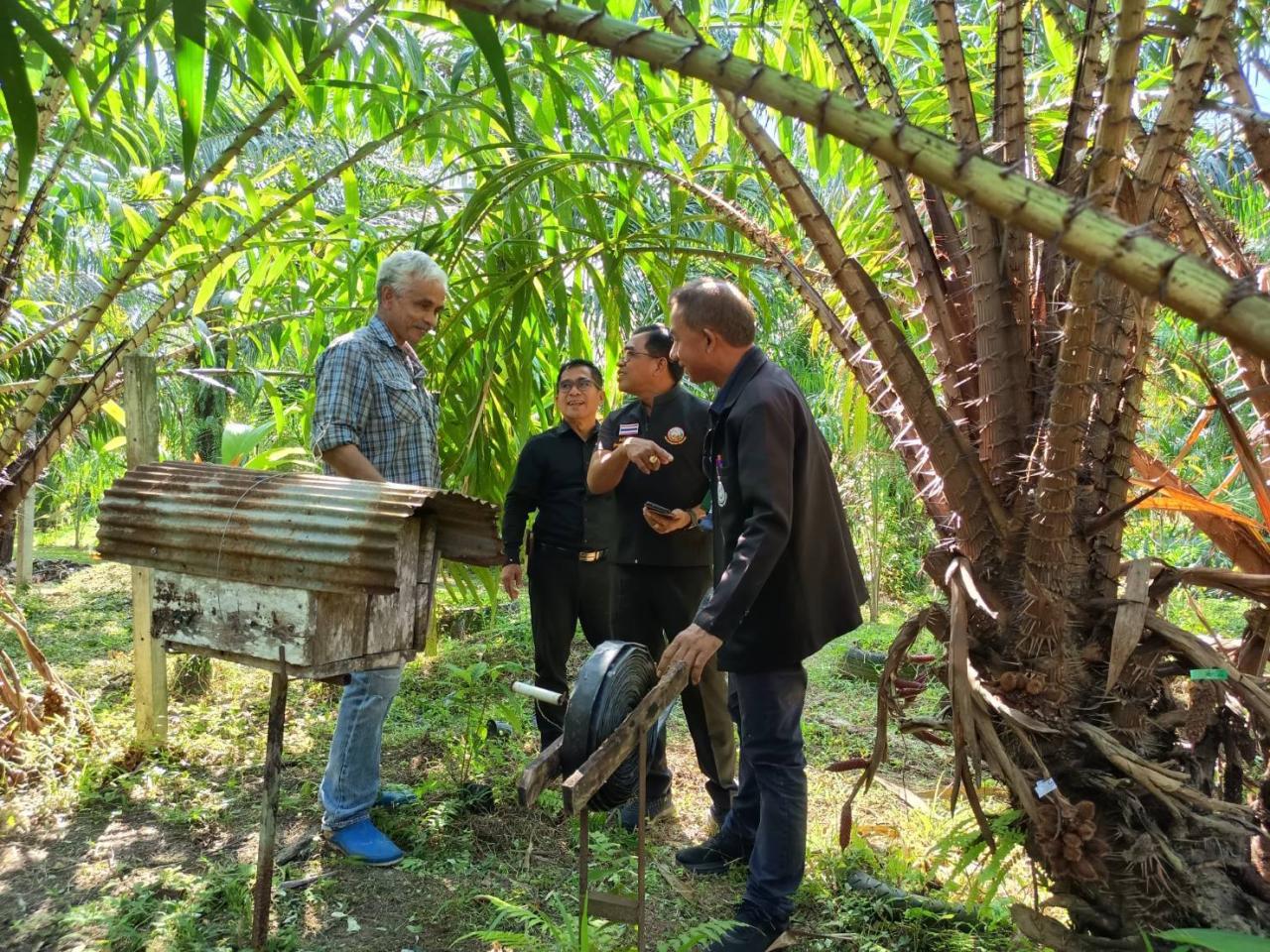 ภาพประกอบที่ 4