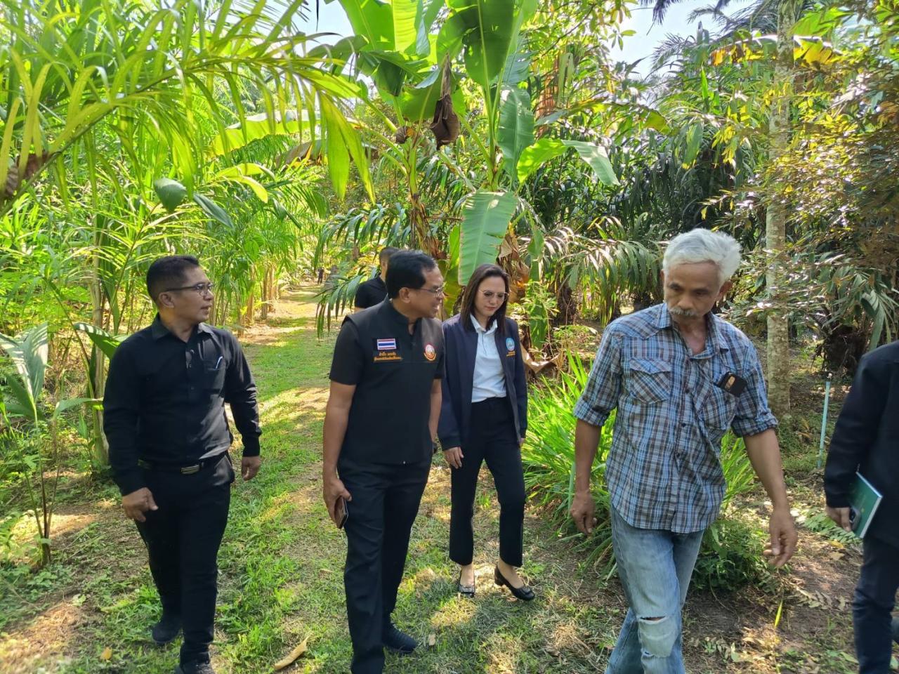 ภาพประกอบที่ 7