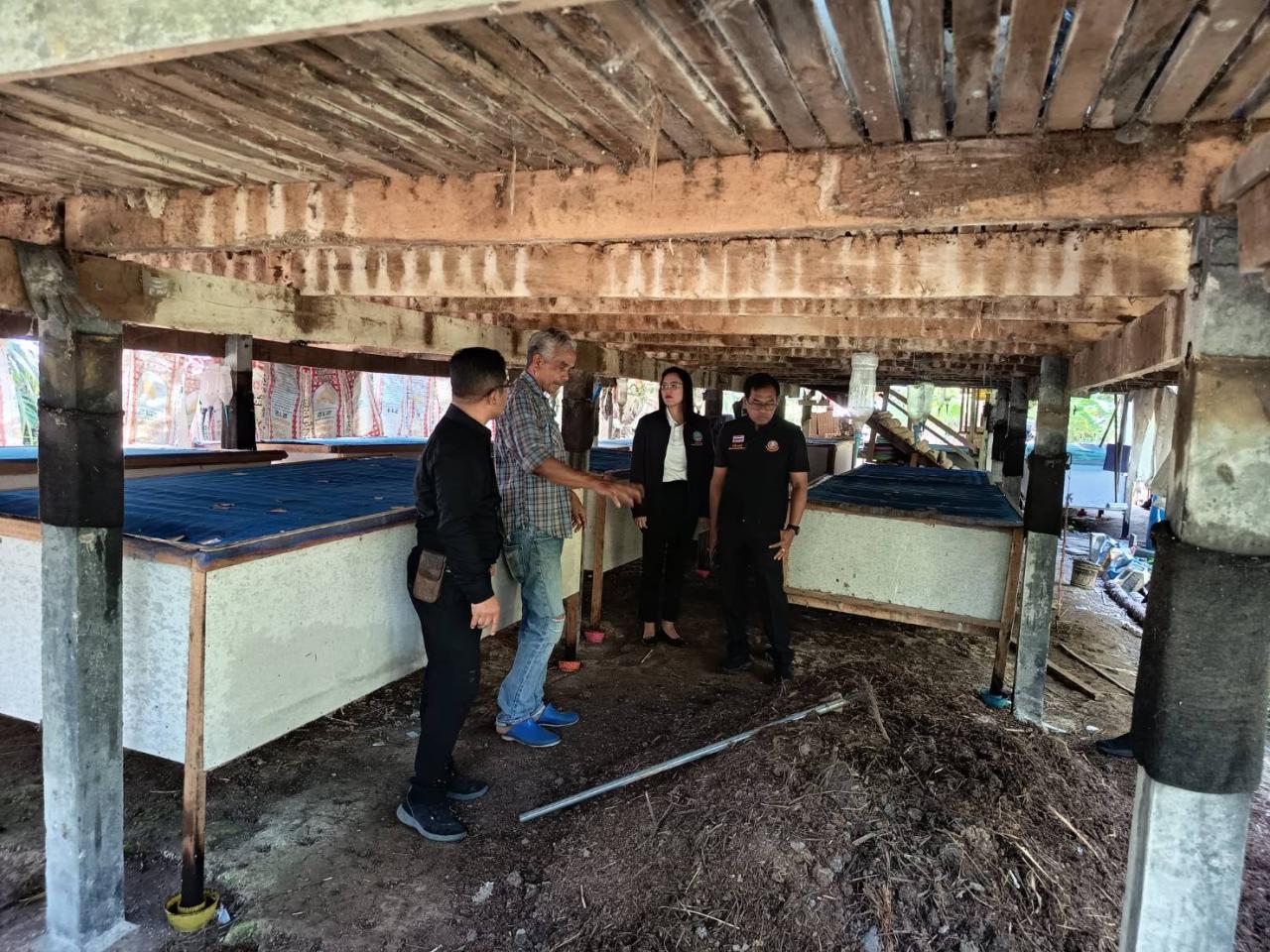 ภาพประกอบที่ 10