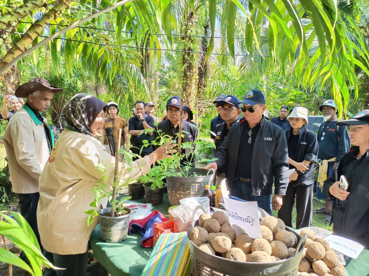 ภาพประกอบที่ 8