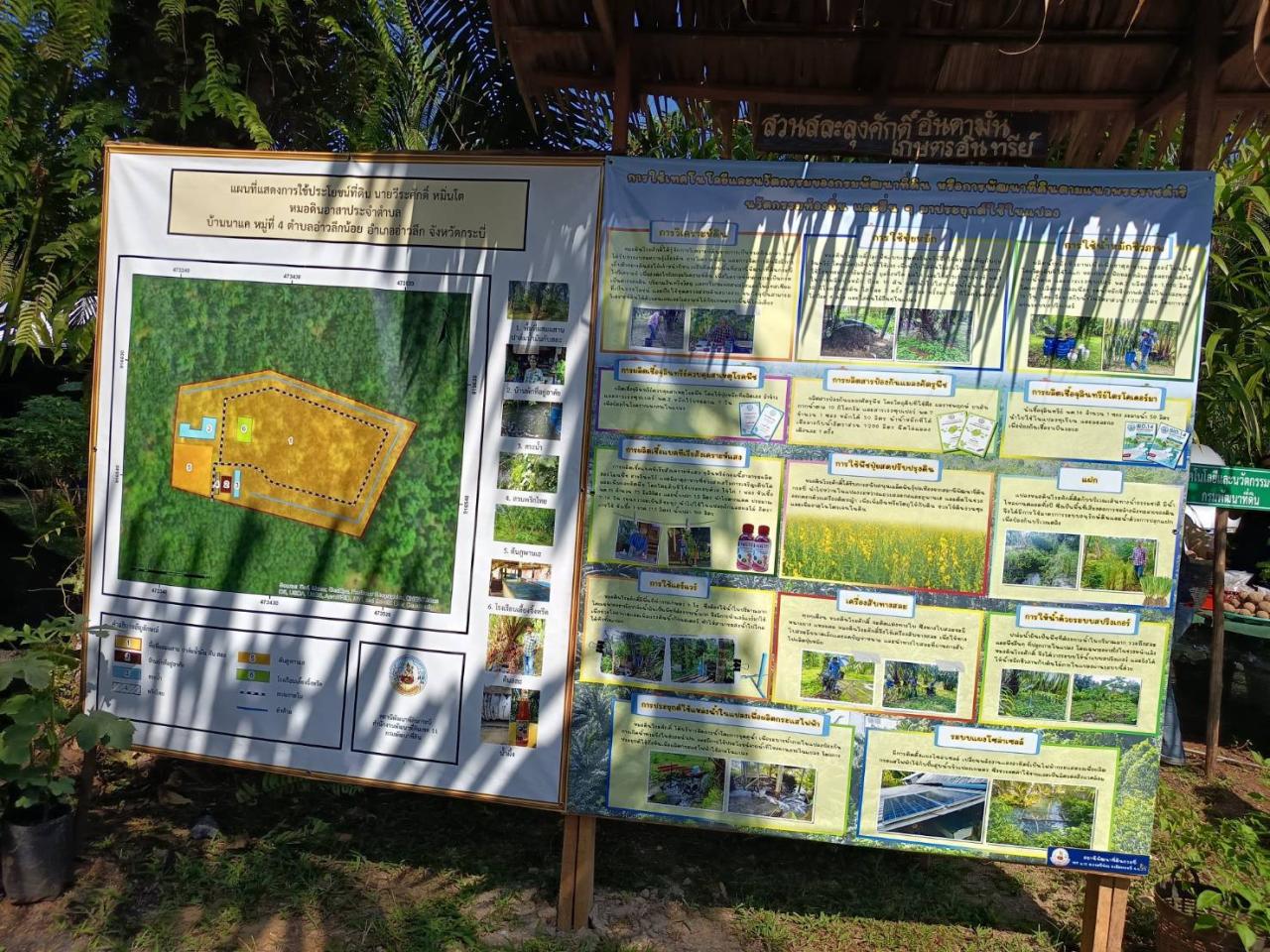 ภาพประกอบที่ 11