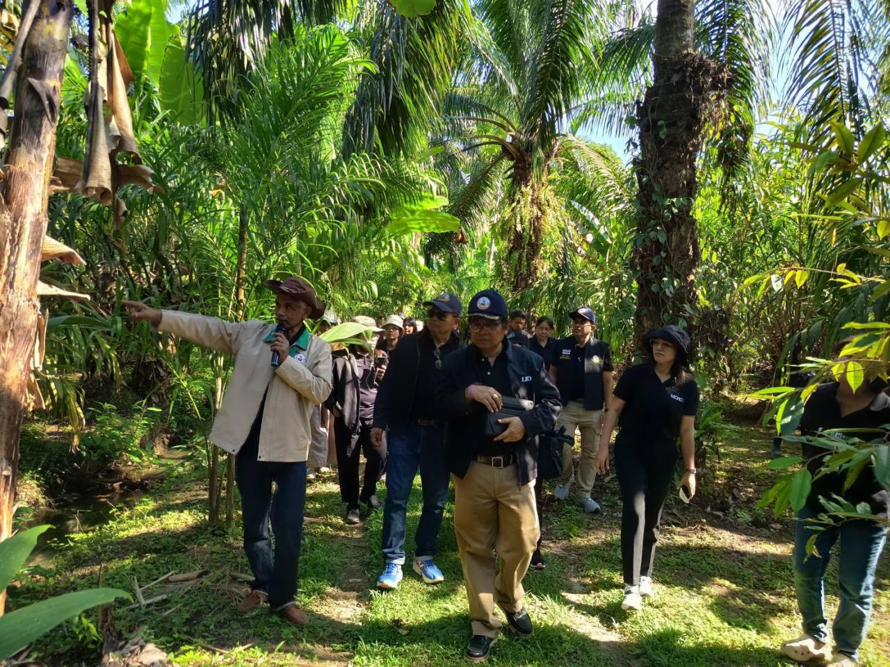 ภาพประกอบที่ 12