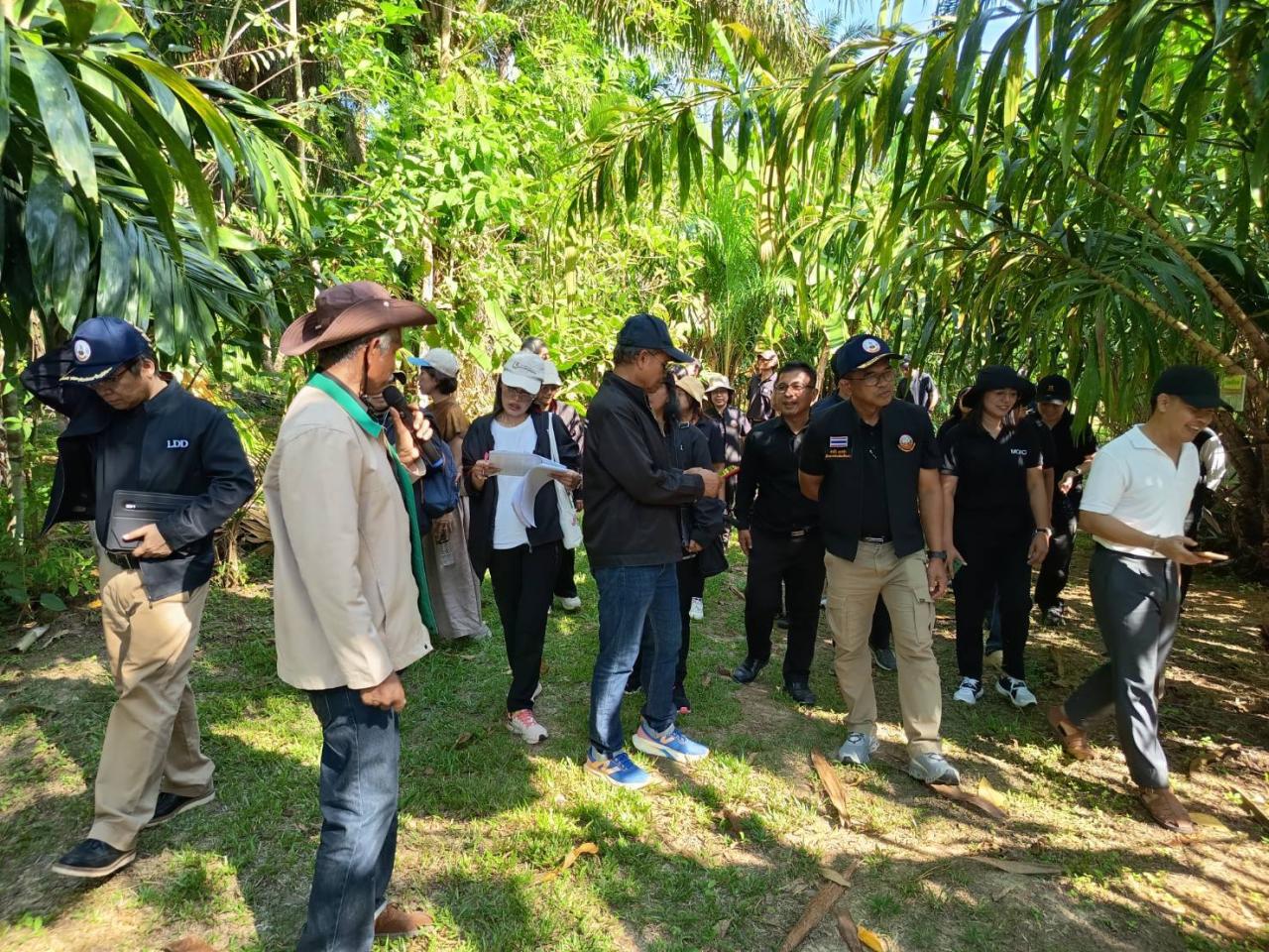 ภาพประกอบที่ 13