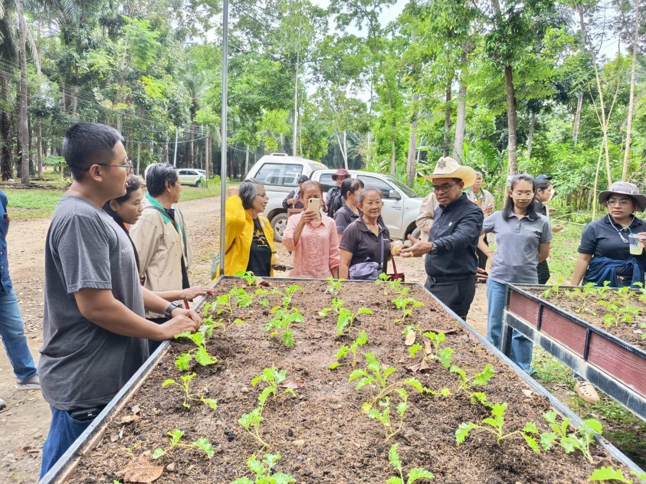 ภาพประกอบที่ 11