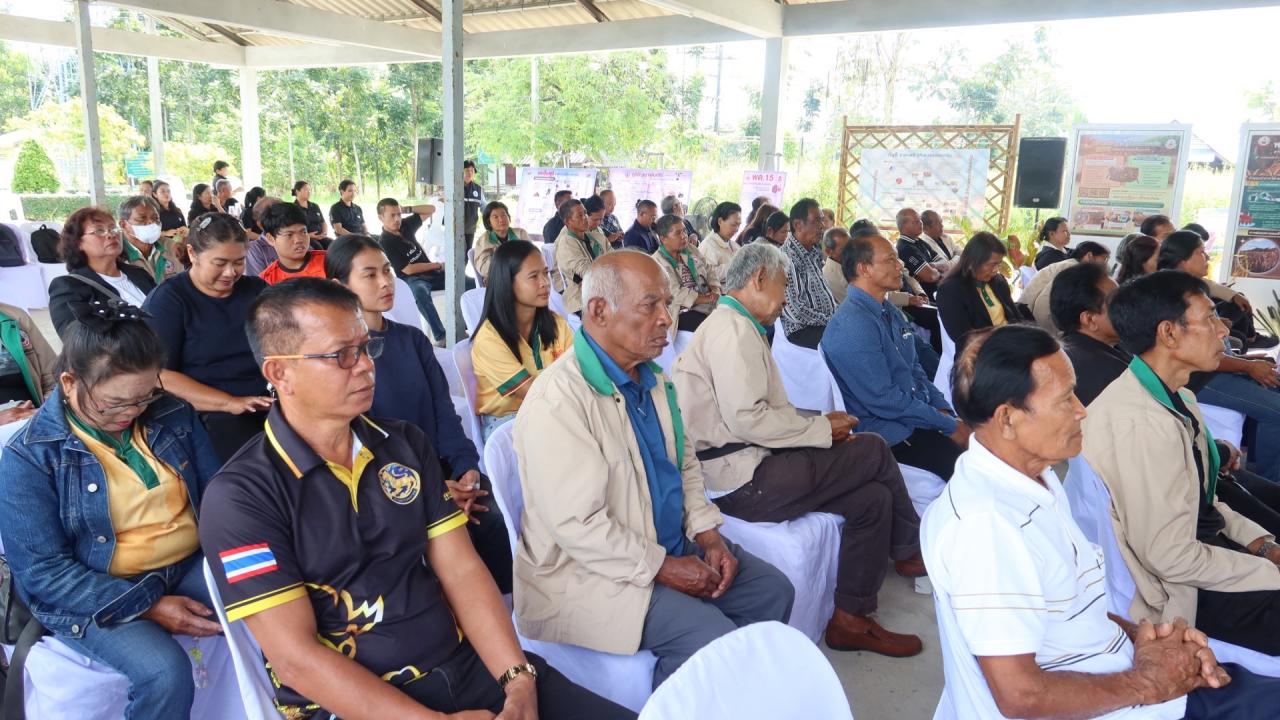 ภาพประกอบที่ 11