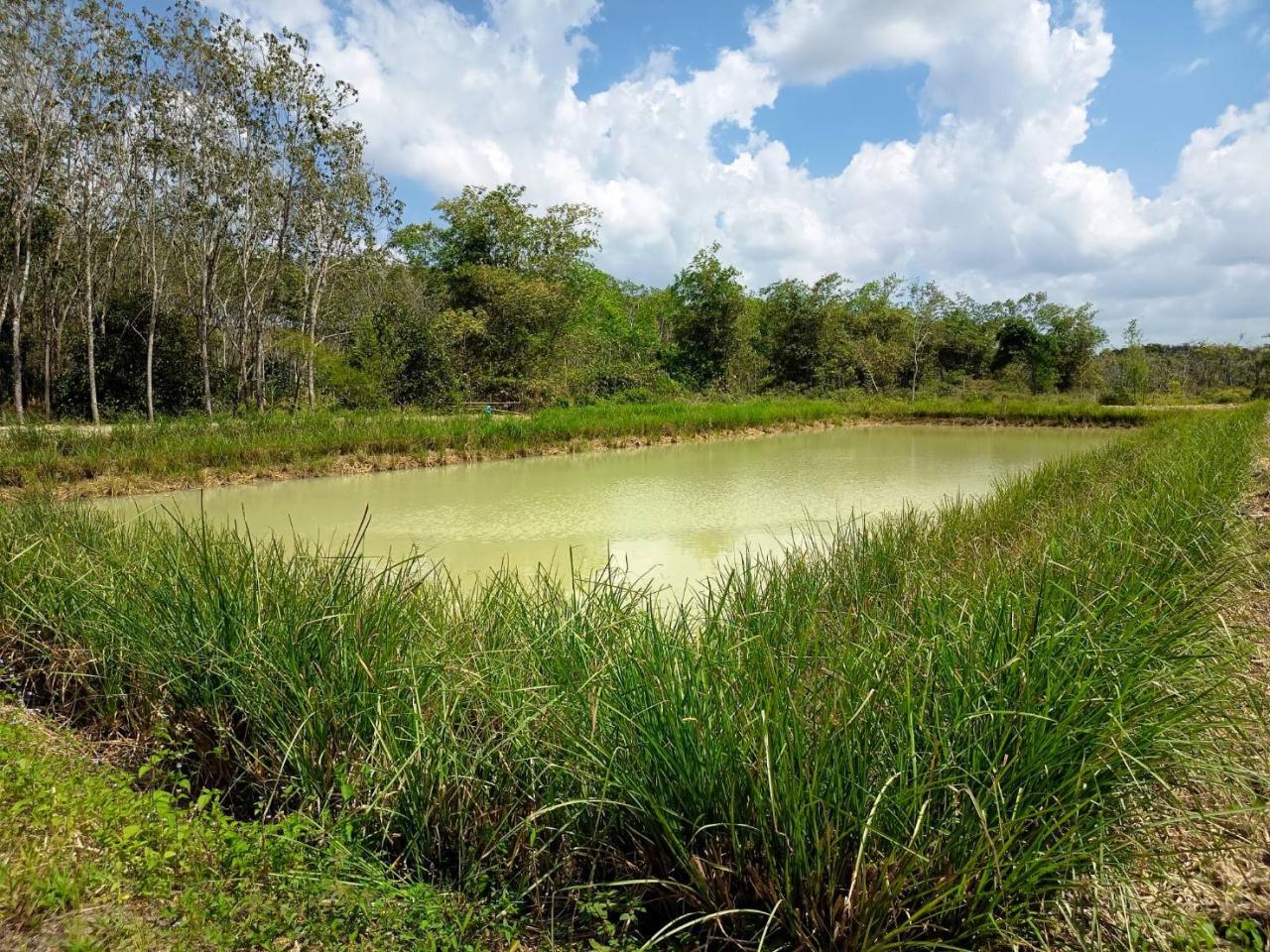 ภาพประกอบที่ 5