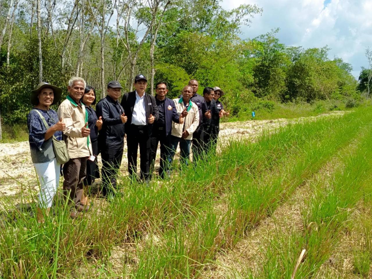 ภาพประกอบที่ 6