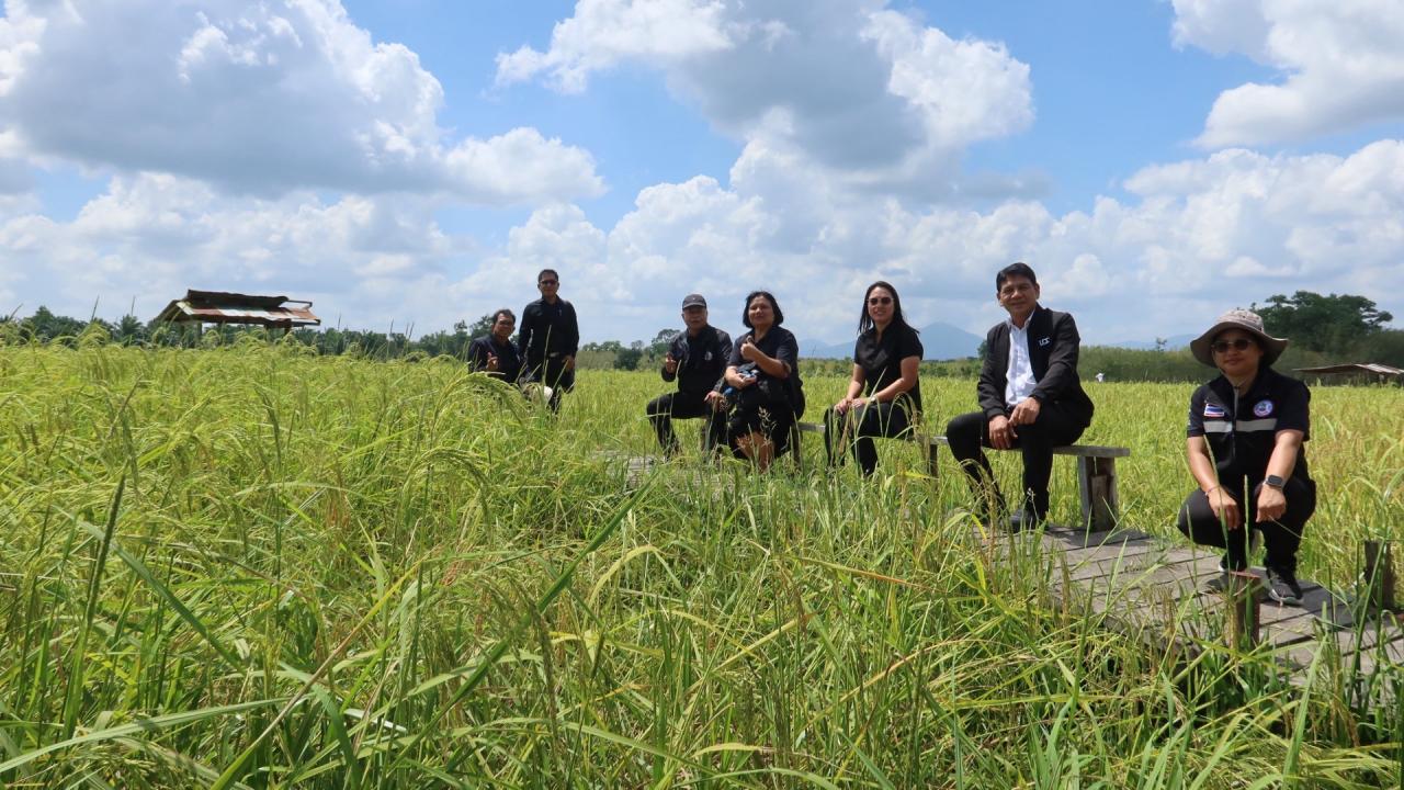 ภาพประกอบที่ 5