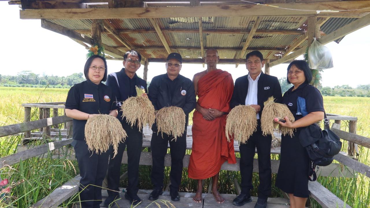 ภาพประกอบที่ 8