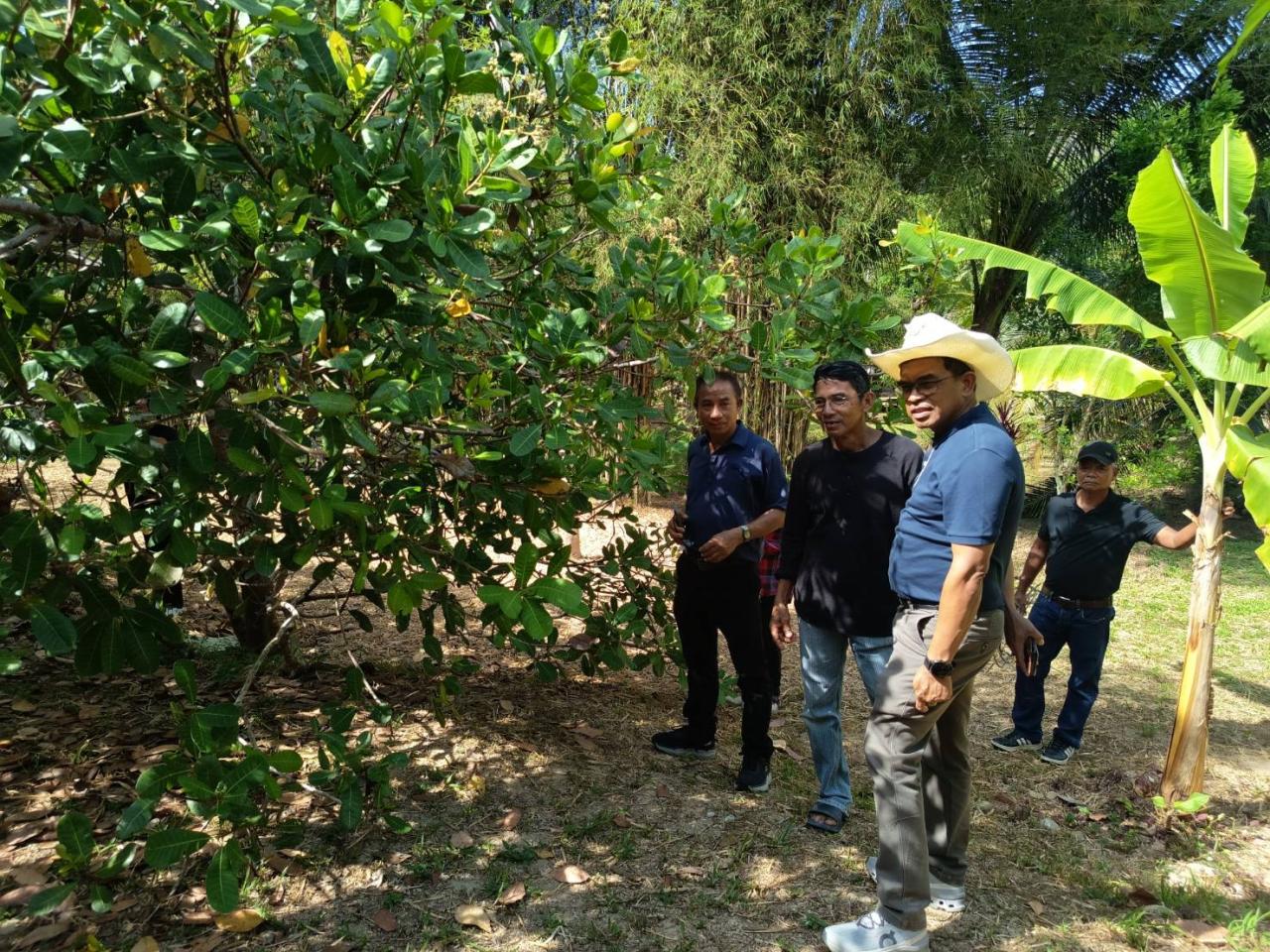 ภาพประกอบที่ 4