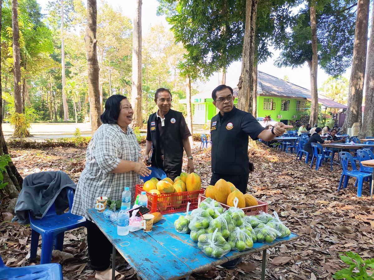 ภาพประกอบที่ 5
