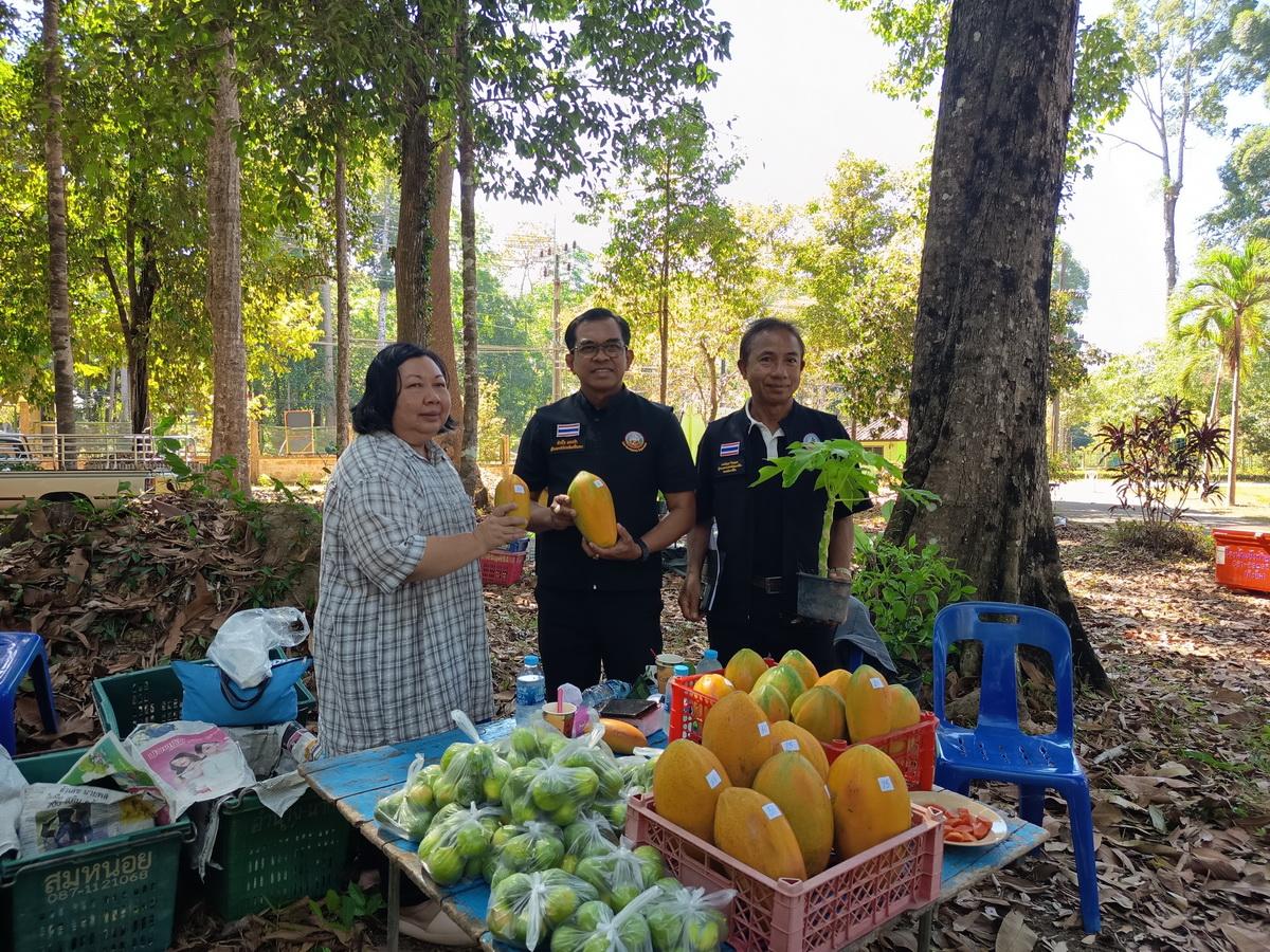 ภาพประกอบที่ 6