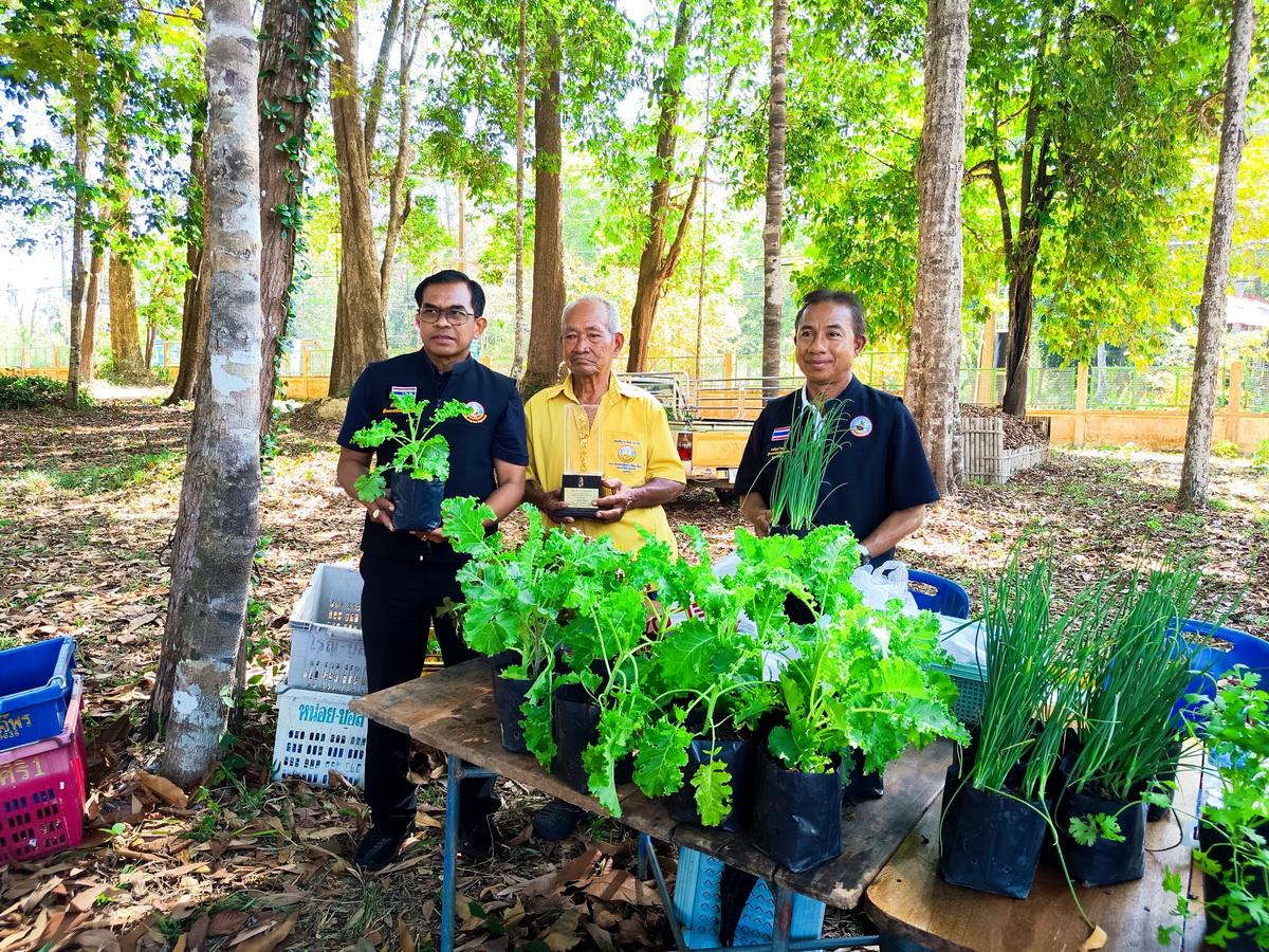 ภาพประกอบที่ 7