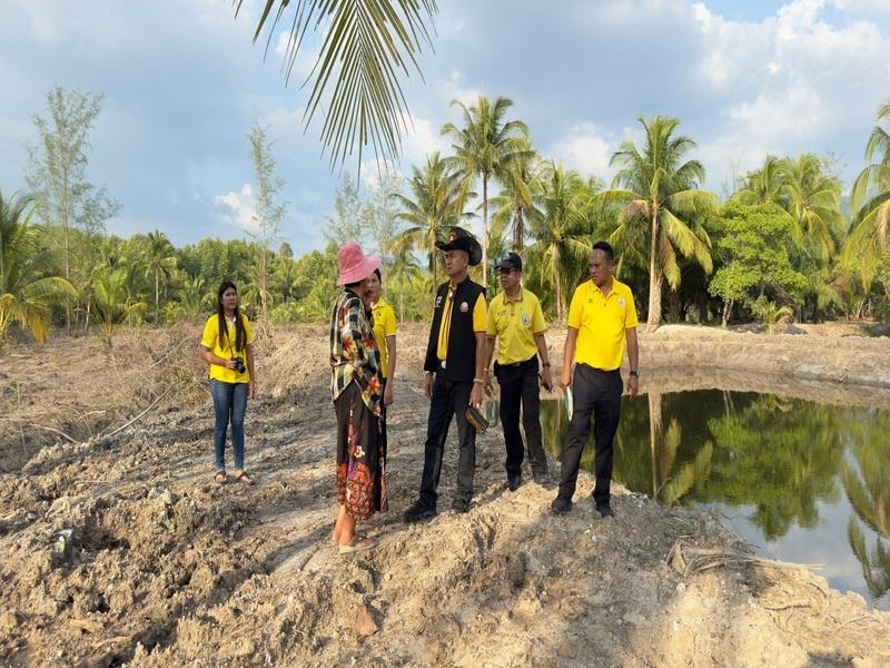 ภาพประกอบที่ 11