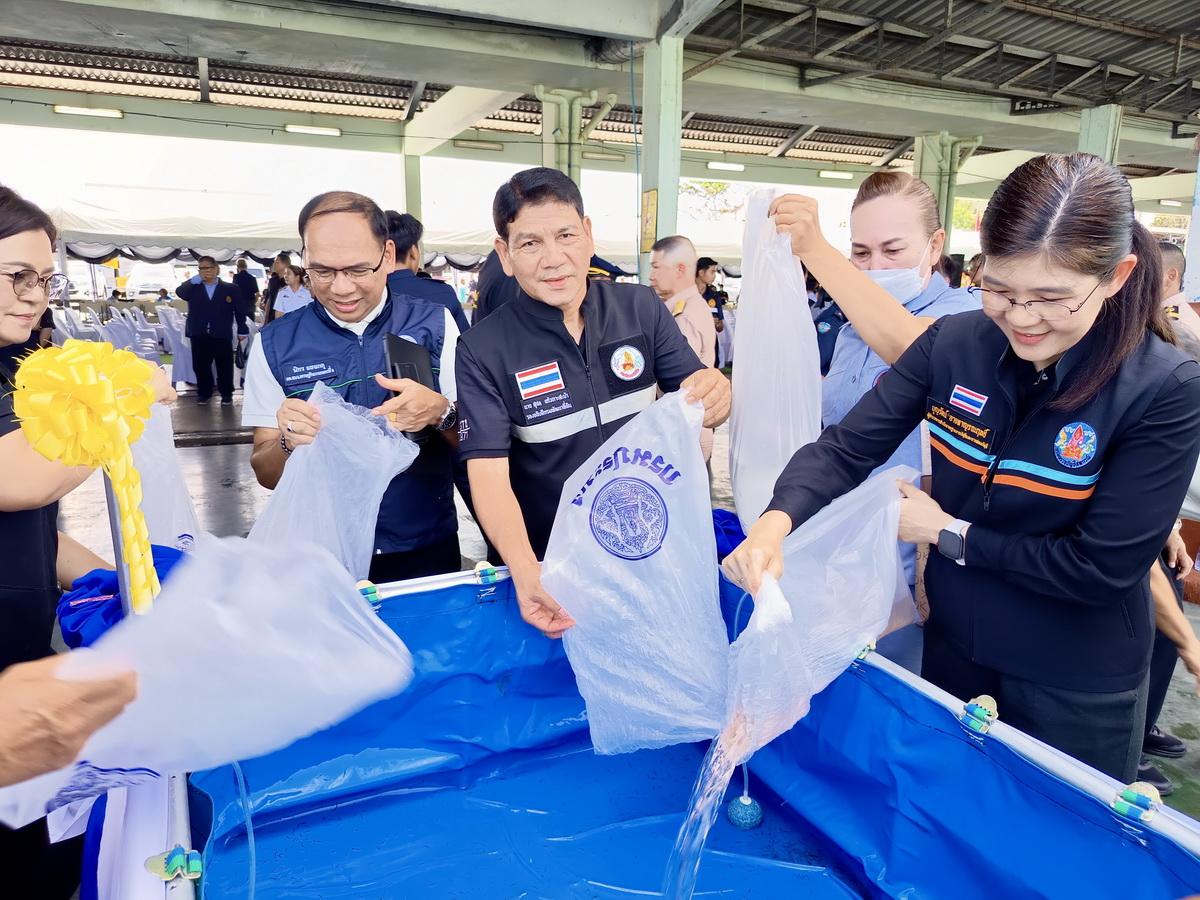 ภาพประกอบที่ 16