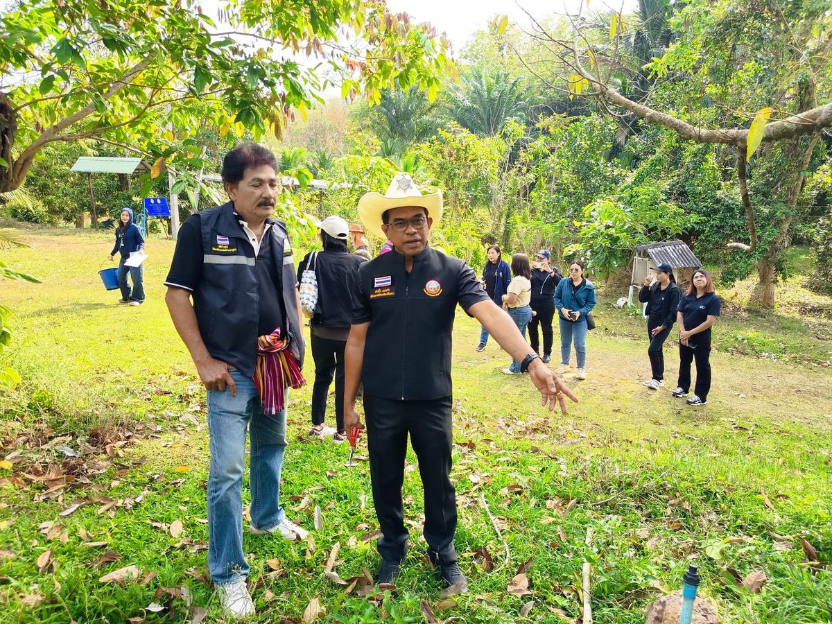 ภาพประกอบที่ 0