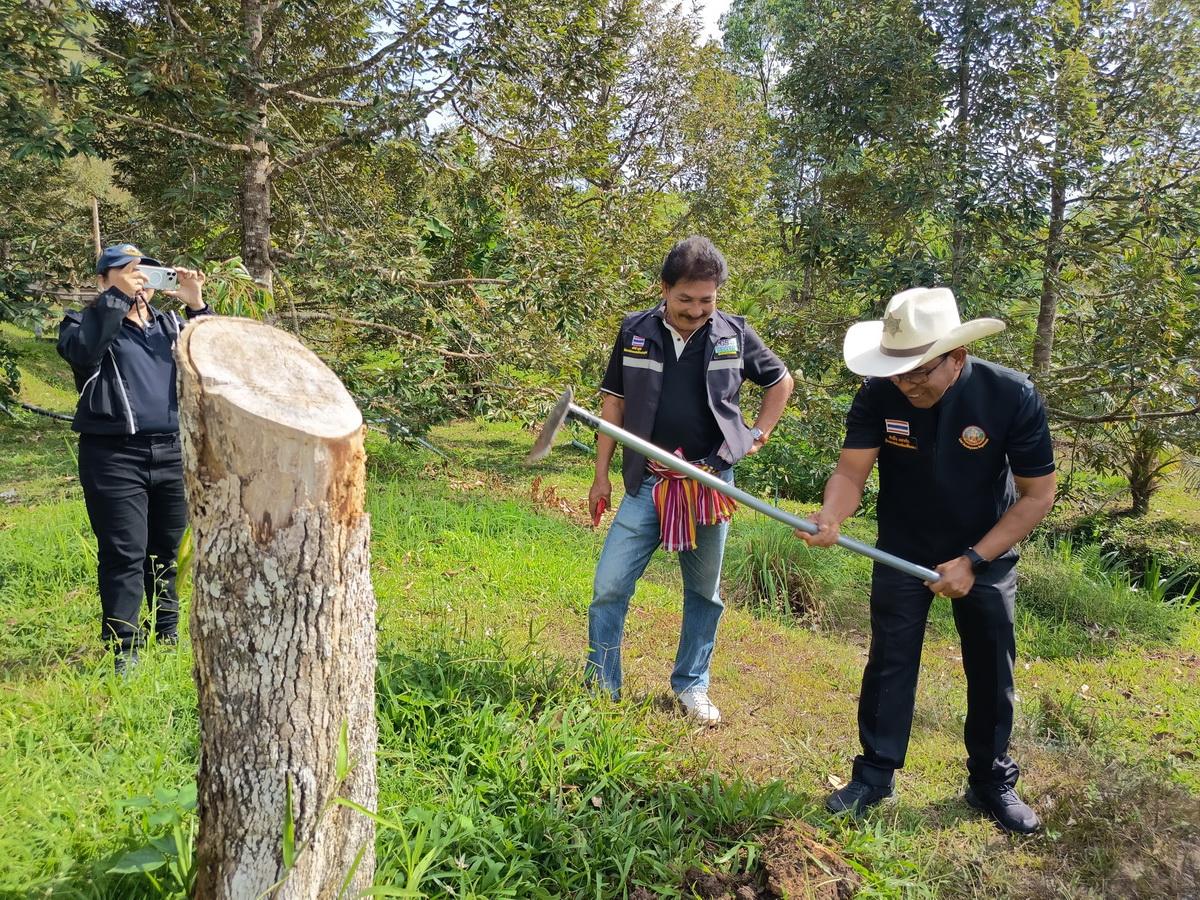 ภาพประกอบที่ 4