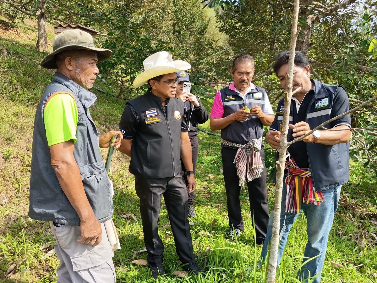 ภาพประกอบที่ 5