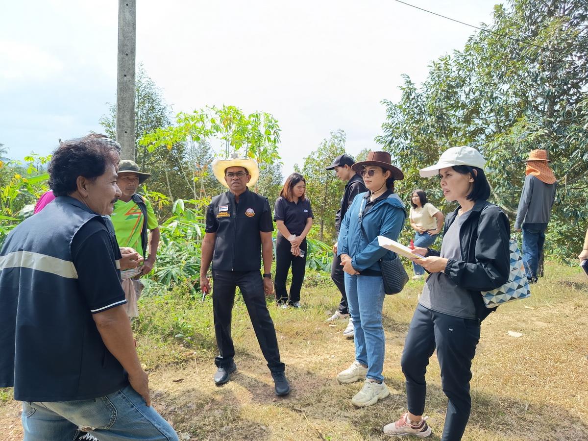 ภาพประกอบที่ 6
