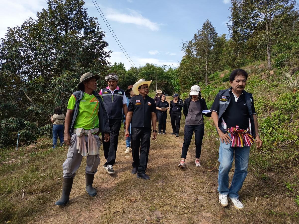 ภาพประกอบที่ 7