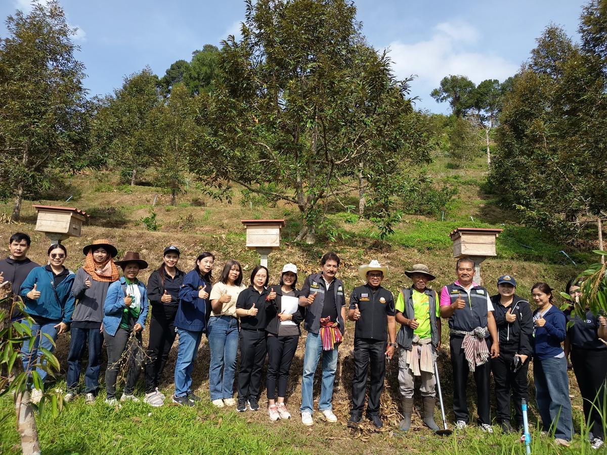 ภาพประกอบที่ 9