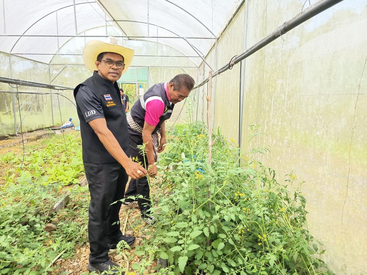 ภาพประกอบที่ 11