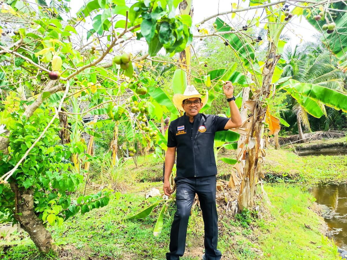 ภาพประกอบที่ 12