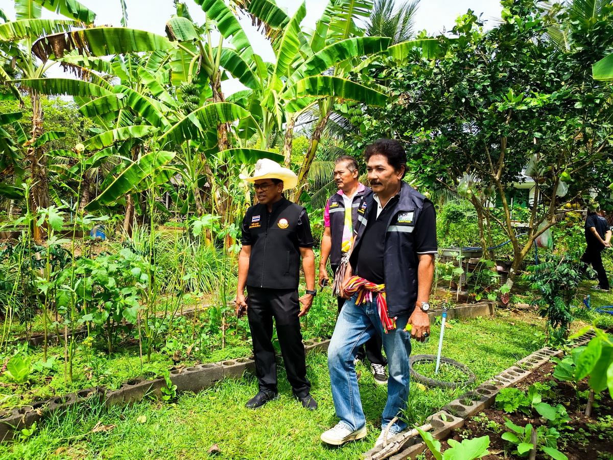 ภาพประกอบที่ 13