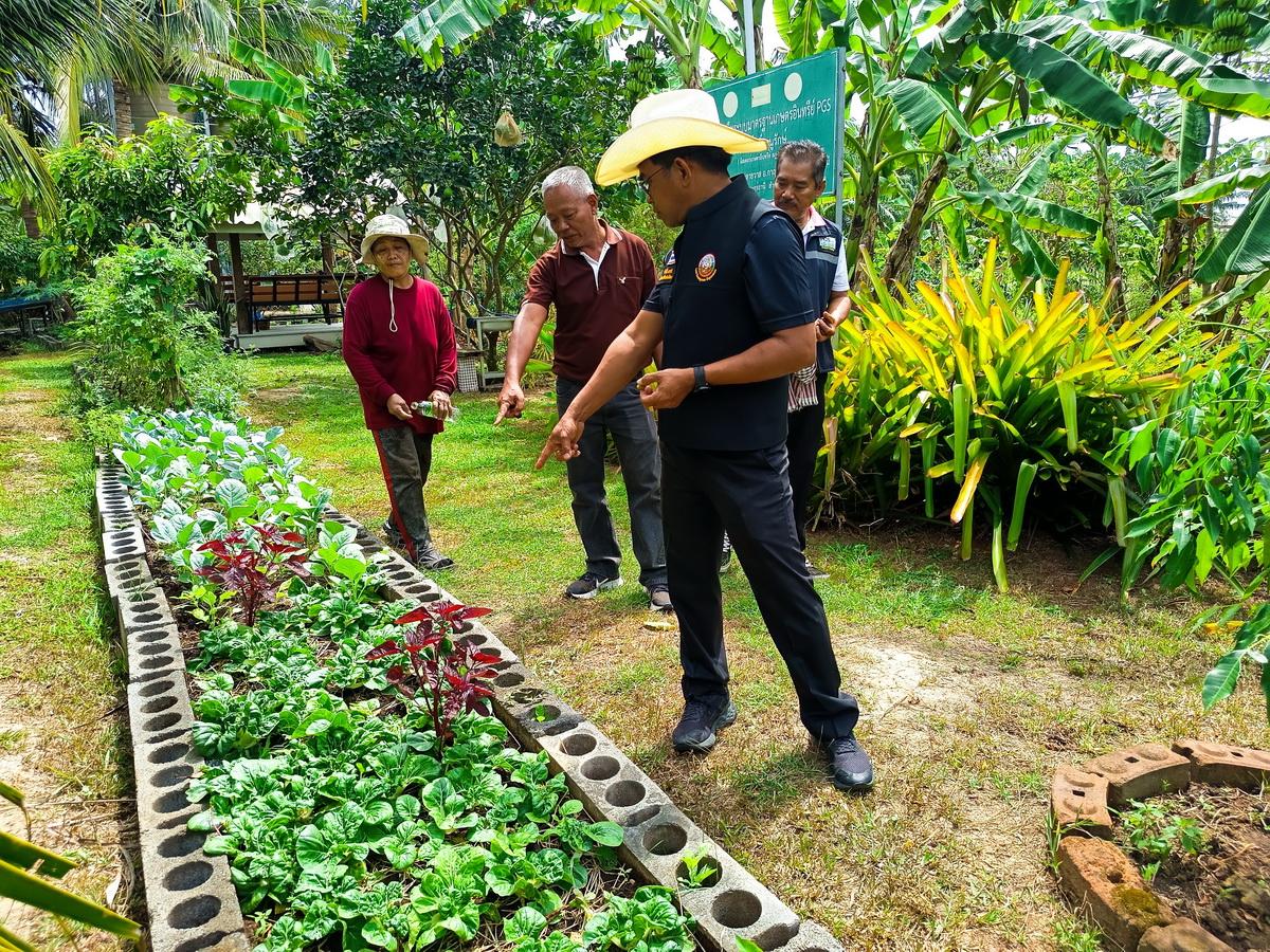 ภาพประกอบที่ 14