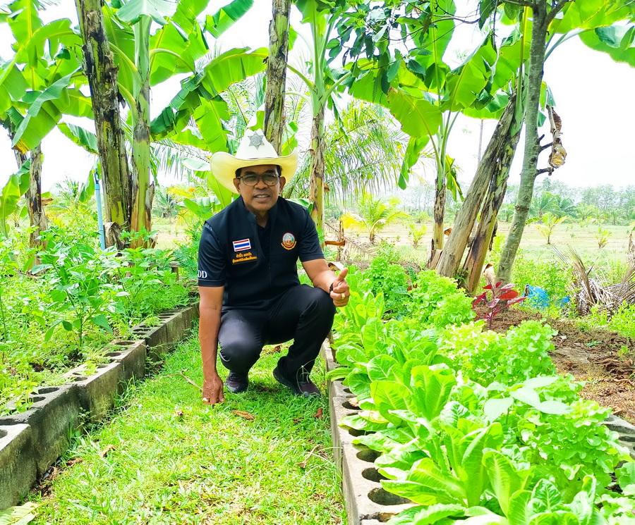 ภาพประกอบที่ 16