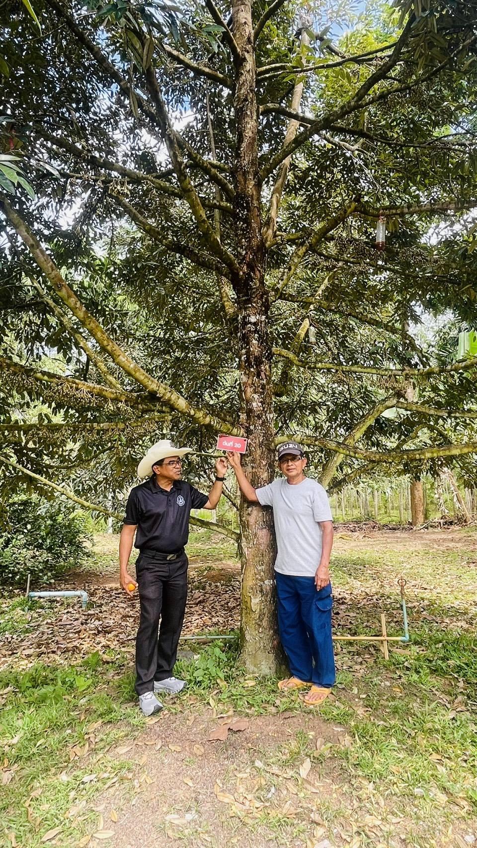 ภาพประกอบที่ 4