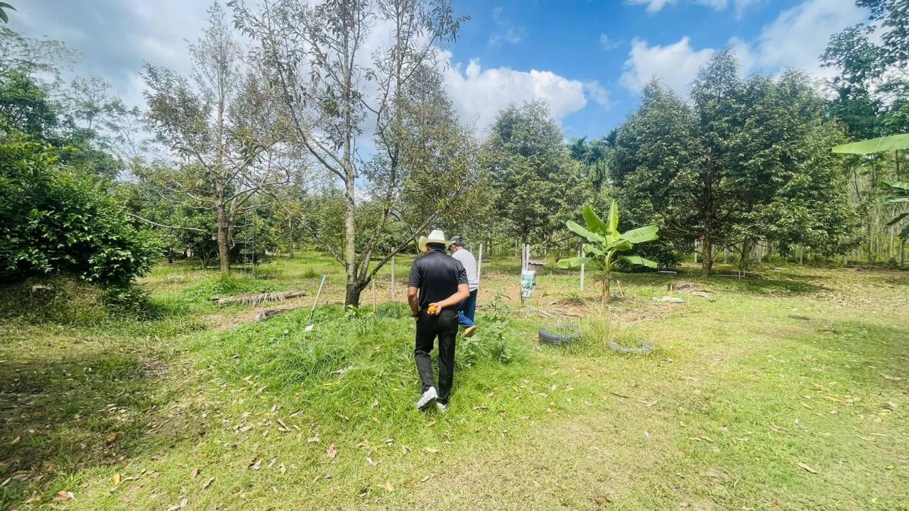 ภาพประกอบที่ 7