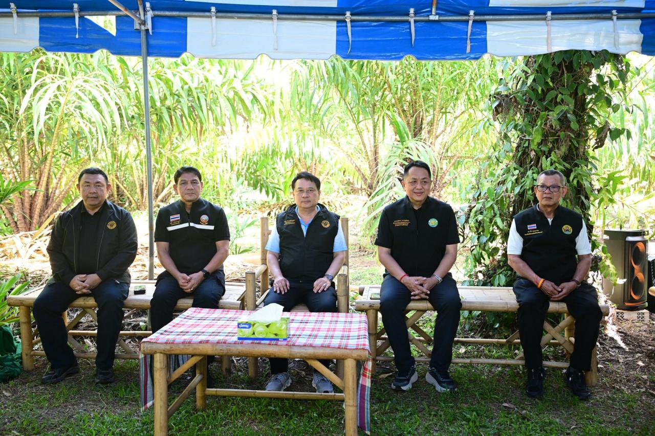 ภาพประกอบที่ 2