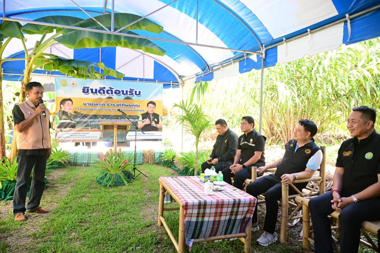 ภาพประกอบที่ 4