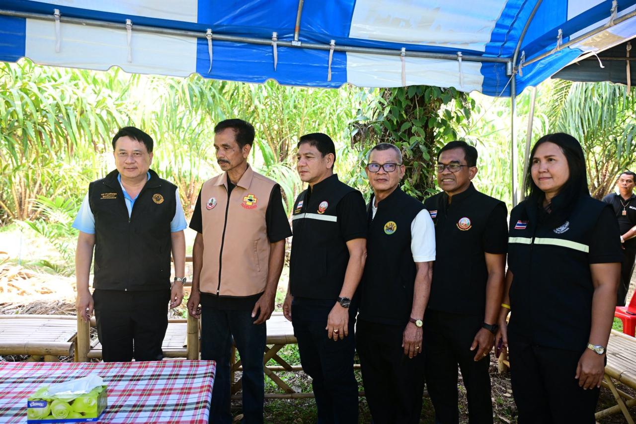 ภาพประกอบที่ 11