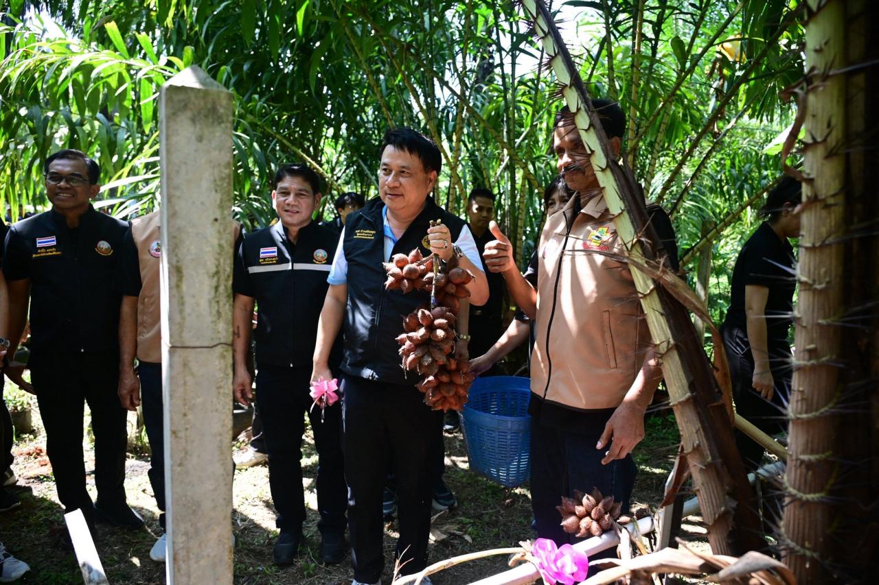 ภาพประกอบที่ 14